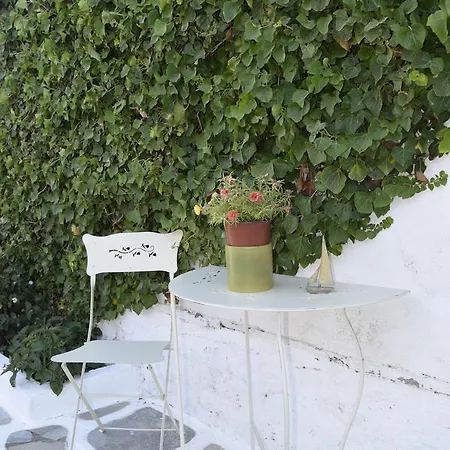 Lejlighed Tzane & - Steps Away From Golden Chrisi Akti (Paros)