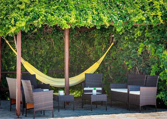 Tzane & - Steps Away From Golden * חריסי אקטי