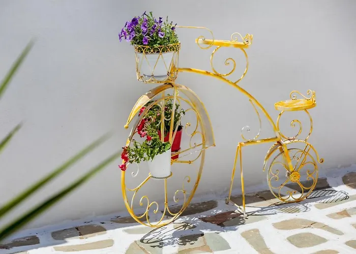 Tzane & - Steps Away From Golden * חריסי אקטי