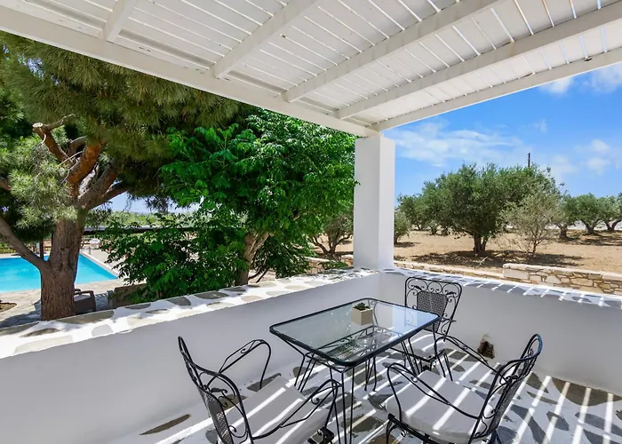 Tzane & - Steps Away From Golden חריסי אקטי