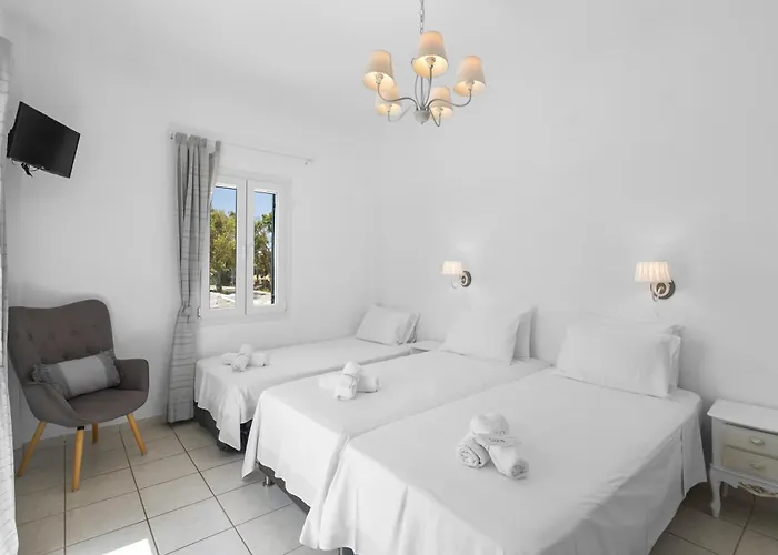 Tzane & - Steps Away From Golden * חריסי אקטי