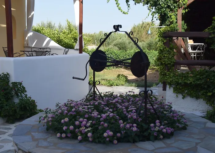 Tzane & - Steps Away From Golden * חריסי אקטי