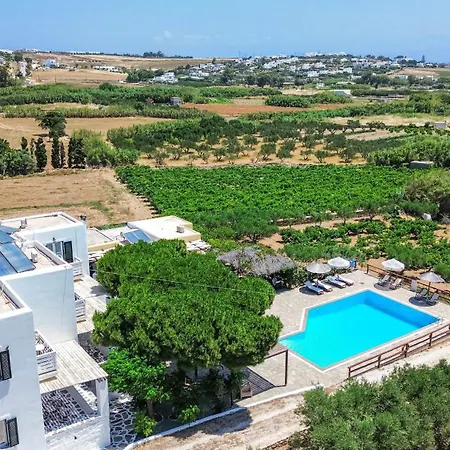 Tzane & - Steps Away From Golden Daire