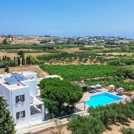 Daire Tzane & - Steps Away From Golden Chrisi Akti (Paros)