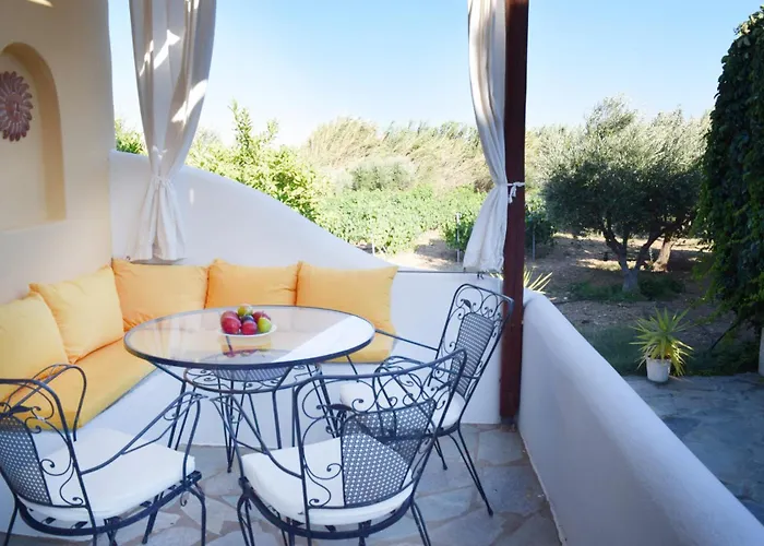 Tzane & - Steps Away From Golden חריסי אקטי